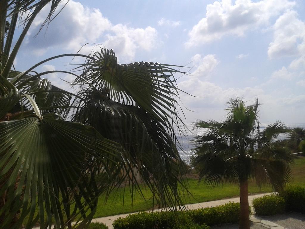 Happy Holiday Coral Bay Bilik gambar